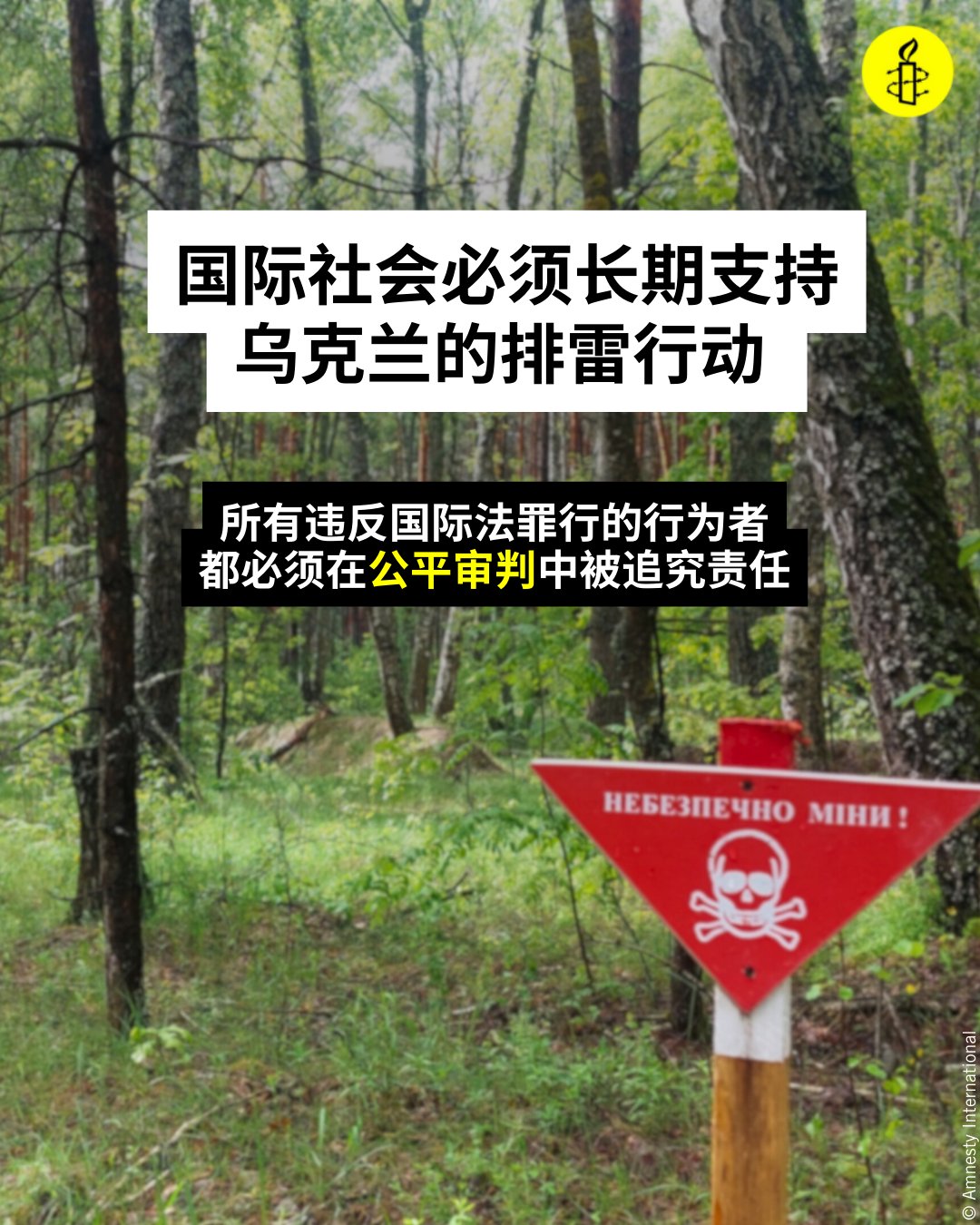 国际特赦组织中文Amnesty - 国际特赦组织中文Amnesty