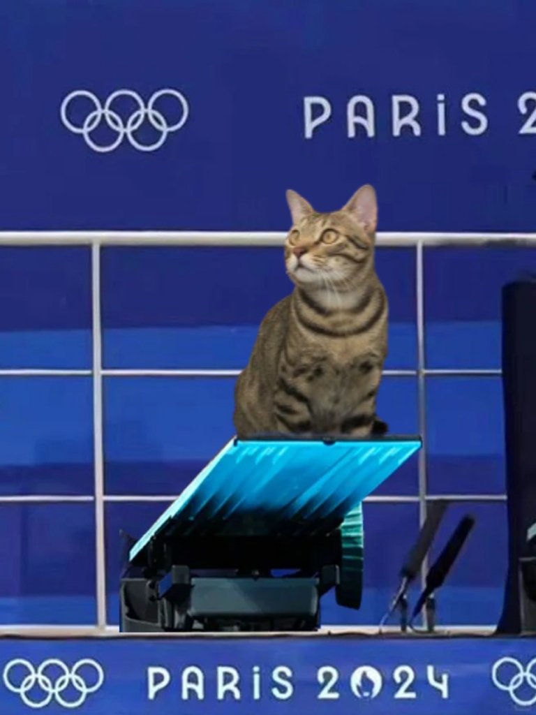 PurriniPlaymate's tweet photo. A dream come true…🥇😸
THANK YOU ALL!!! 
#Paris2024 #ParisOlympics2024 #purrini https://t.co/TUoqkYIy9f