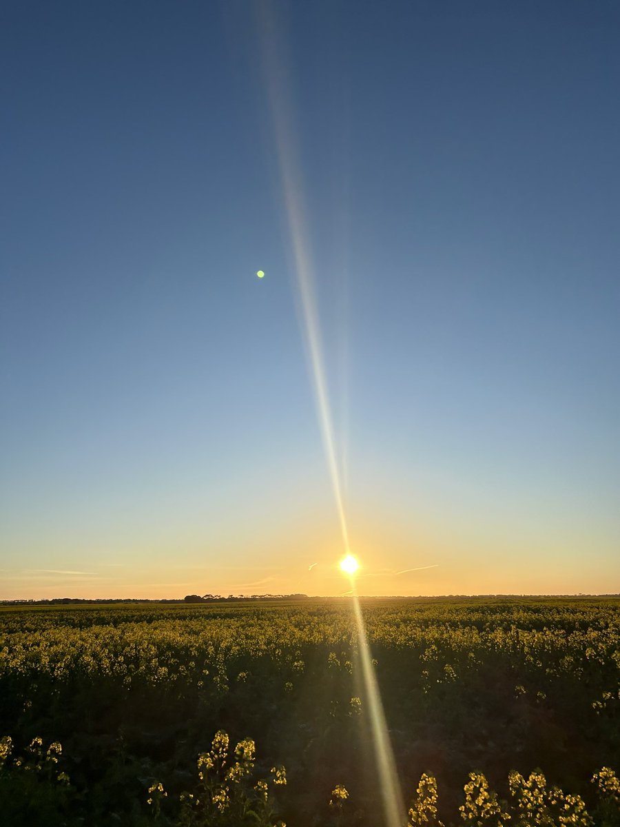 Chasing DBM around the Esperance port zone