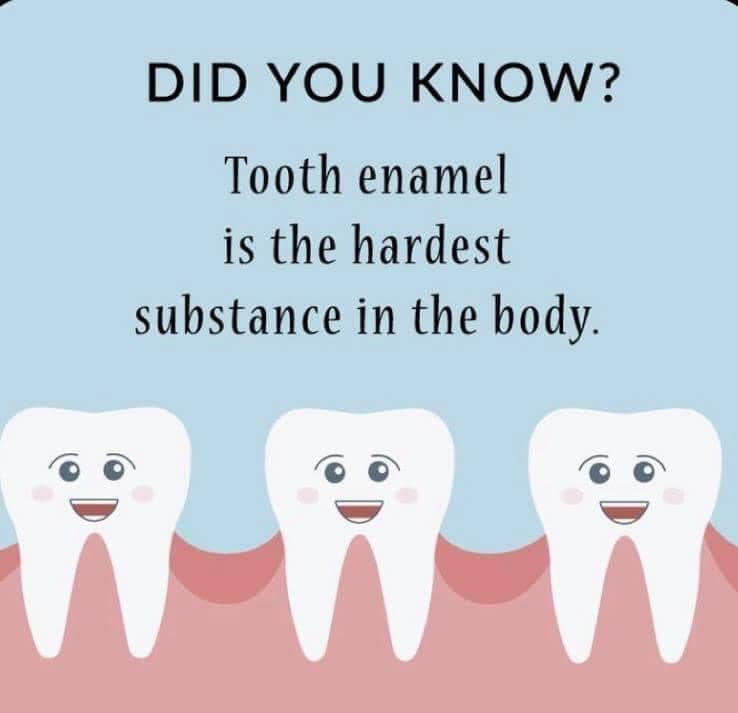 #DYK? Your tooth enamel is the hardest substance in your body. 

Be sure to contact #SmilesBySeese to schedule your next dental care appointment!