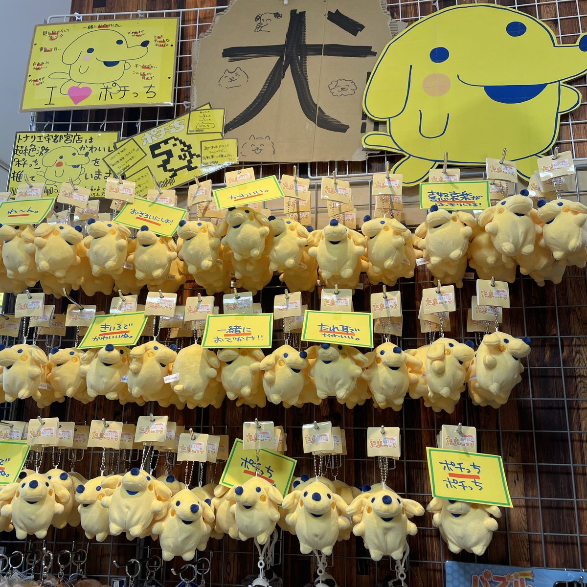 ぽち (@pochi_084_084) / Posts and Replies / X