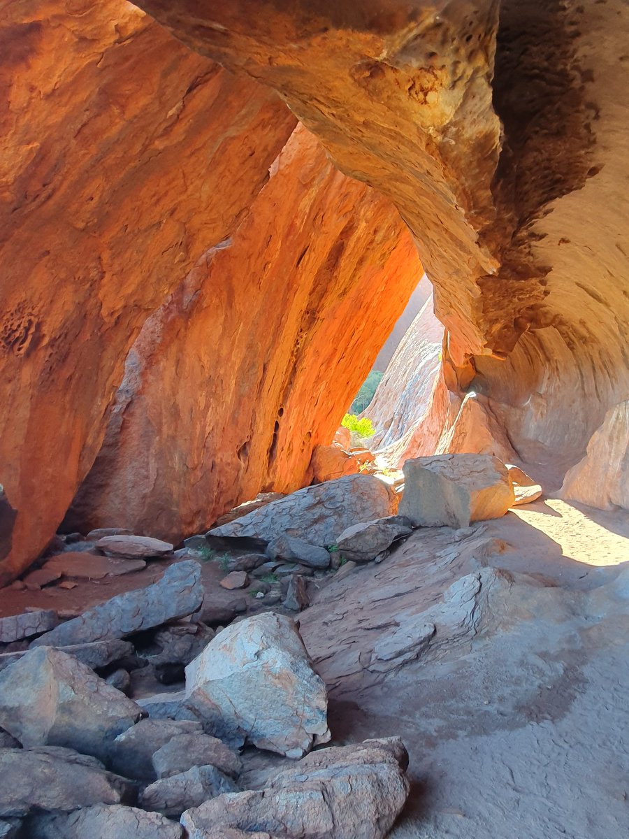 Mr. J. Dennis tweet media