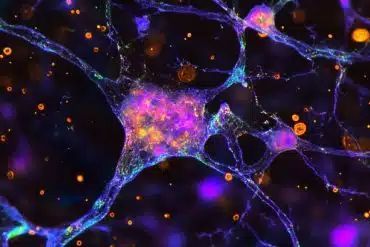 📣 Exciting Announcement! Join us at the 3rd European Congress of Neurology and Neuropsychiatry on February 17-18, 2025, in Amsterdam. Dive into the latest research and innovations in neurology and psychiatry. Don’t miss out—register now! 
For more info: buff.ly/3PJdyA9