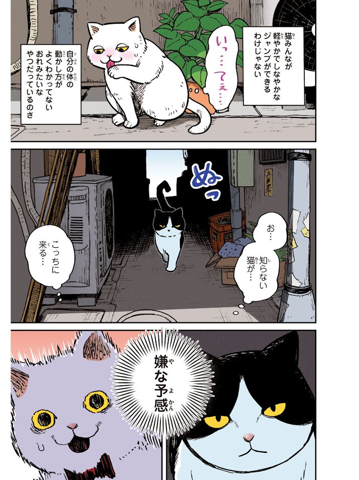 『ツレ猫 マルルとハチ いろぬり版』本日発売しております🐈🐈⬛ 応援書店さまと丸善ジュンク堂書店さまで描き下ろし漫画のペーパーがつきます😺 白黒版と同じ内容のカラー版です 連載初期の話にすごくきれいに色を塗っていただけてます🎨 フルカラーで読みたい方はぜひどうぞ #ツレ猫マルルとハチ #マルルとハチ