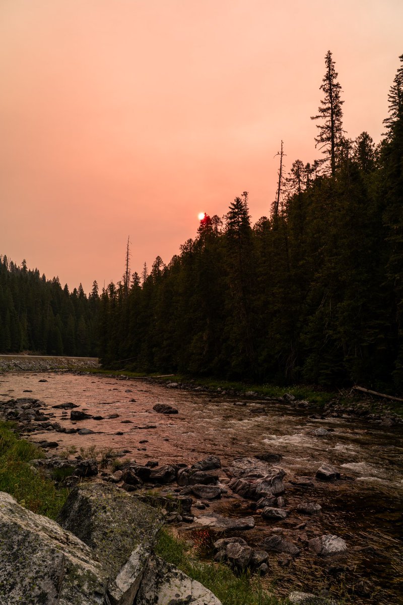 montana_chip's tweet image. The scenic Lochsa, ID 
#idaho #sonya7iii #idahome #photography
