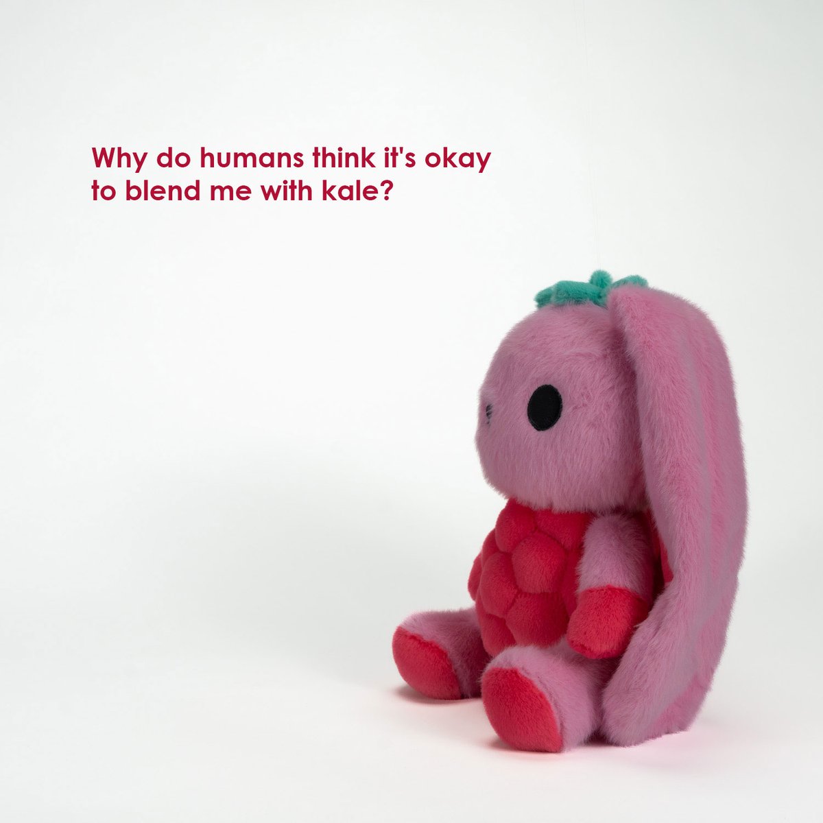 americanmcgee's tweet photo. Get a Rasberry Bun.
You'll look berry cool.
It's also berry on sale.
Also, thtptptptptpt.
#rasberry #rabbit #plushie #fruit #plushiedreadfuls #berryfunny https://t.co/OpLBA9tecX