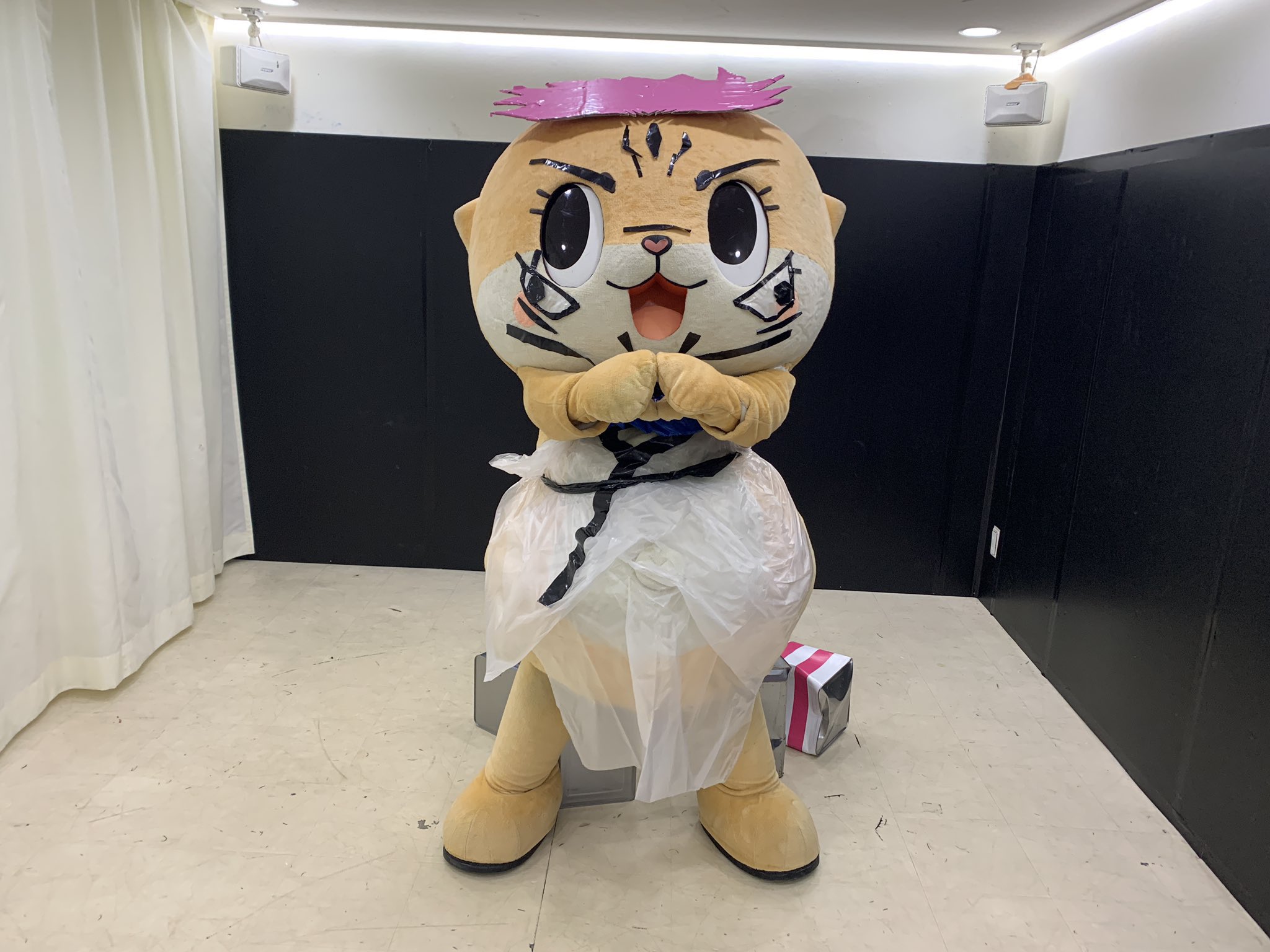 ちーたん ちぃたん☆／Chiitan (@chiitan7407) / X