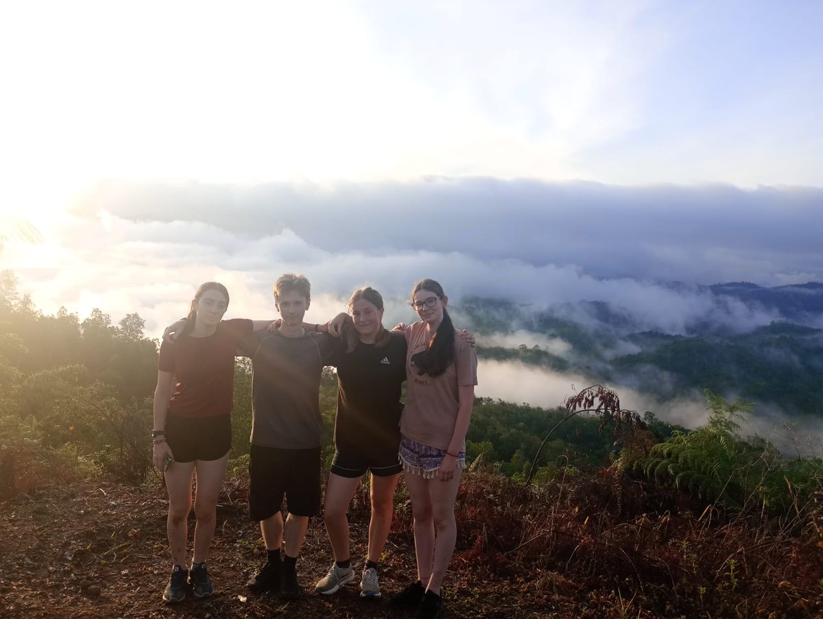 Mark Rutherford Trips tweet media