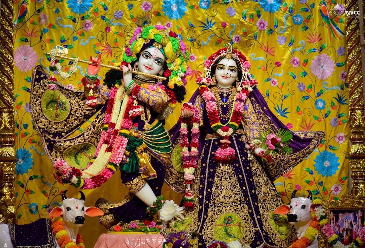 ISKCONPune's tweet photo. 🙏🏽Today's Darshan 📿 🗓06-0-2024🙏
🌷Sri Sri Radhavrindavanchandra🌷
🚩@ISKCONNVCCPune🚩
.
.
#ISKCONNVCCPune #ISKCONNVCC #ISKCONPune
#ISKCON #ISKCON #6thaugust #6thaugust2024 #Tuesday
#kirtan #Harekrishna #Krishna #Kirtan #Krishna
#Harinaamsankirtan #Radheshyamdas
#Radhe #Radha https://t.co/LRf9rzHfJ6