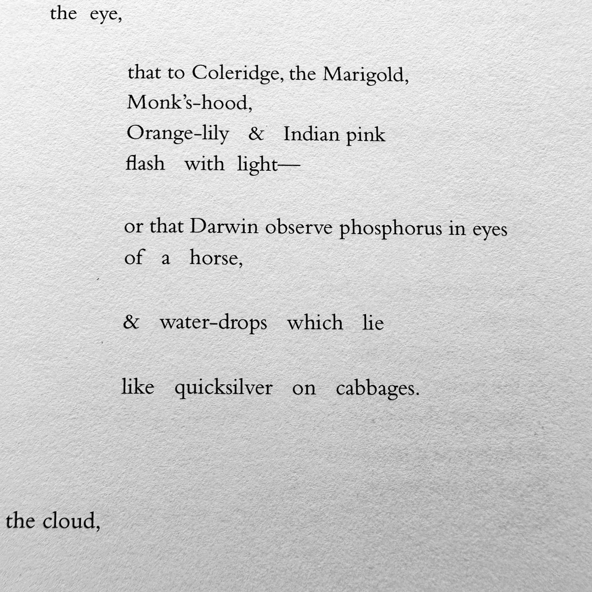 Ronald Johnson / “Samuel Palmer: the Characters of Fire”