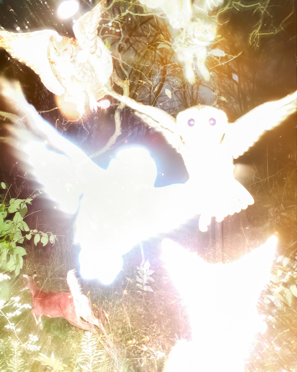 A real picture I just took in my backyard