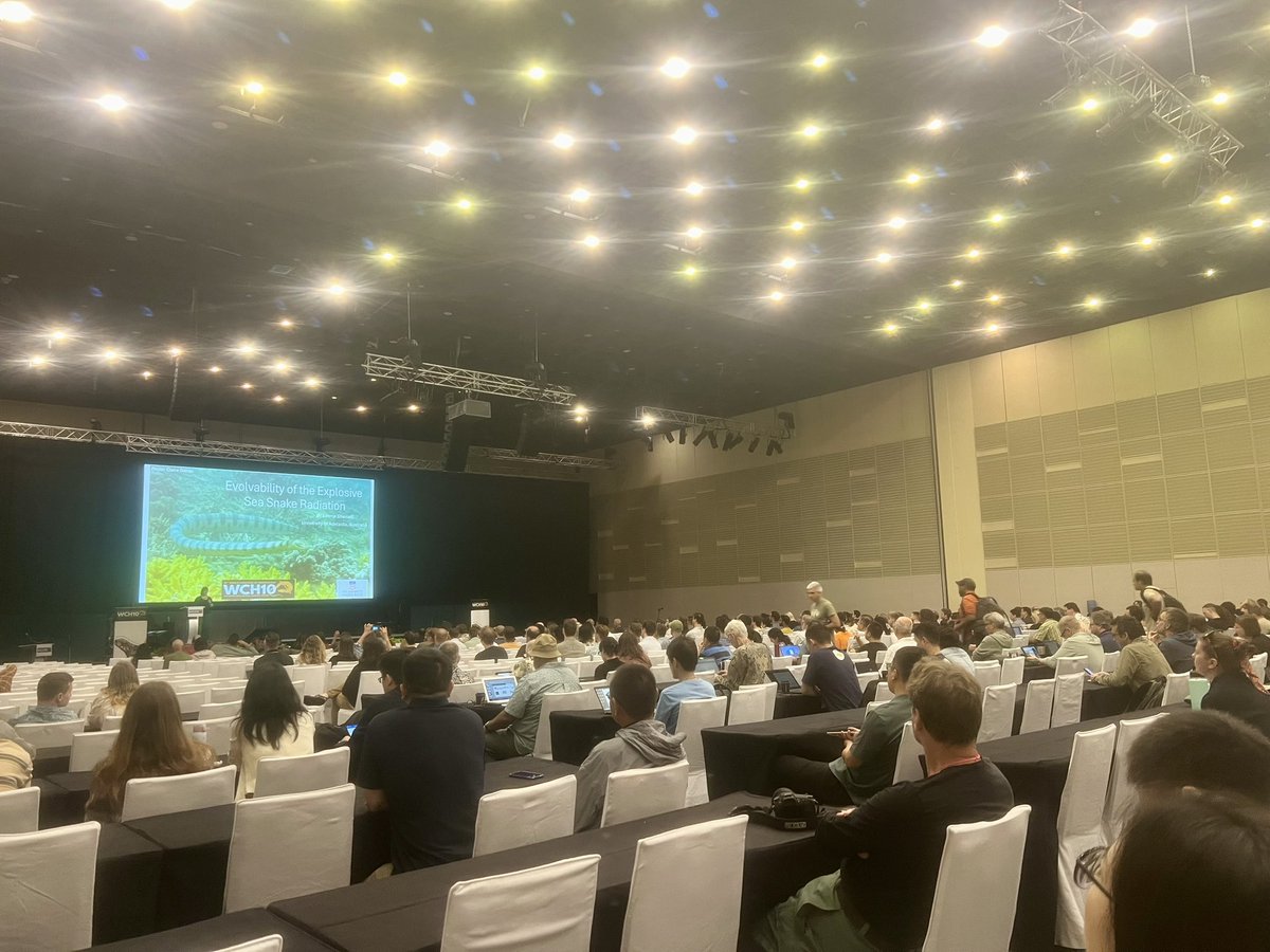 AustralianSocietyHerpetologists tweet media