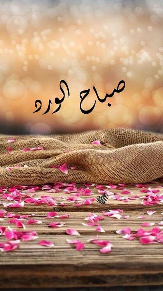 صباح الورد 🌹
#صباح_الخير_والحب_والسلام