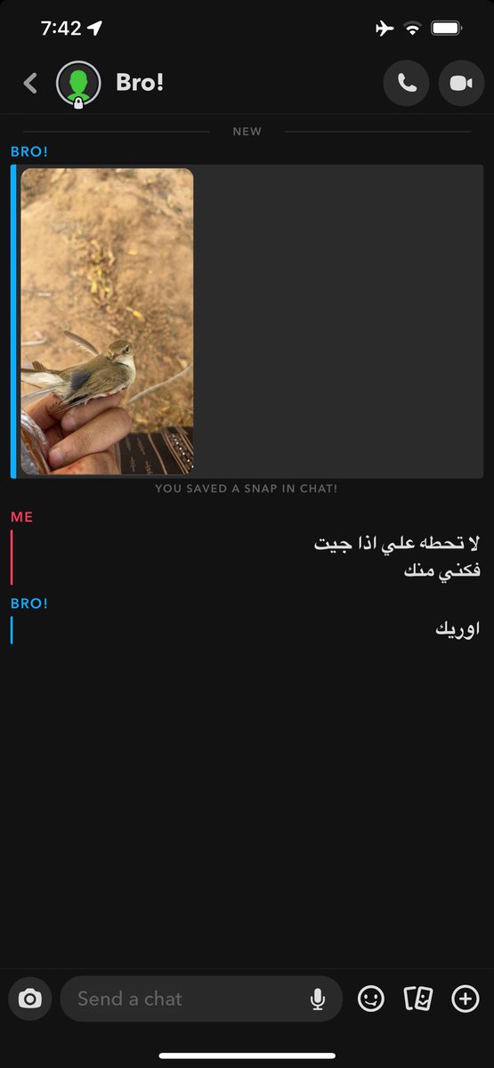 حالياً قاعده اعاني مع موسم الصيد ياجماعة متى يخلص ونفتك من الفوبيا ذي كل م تصيد وخلص لقيت حاط عند راسي عصفور ميت😖