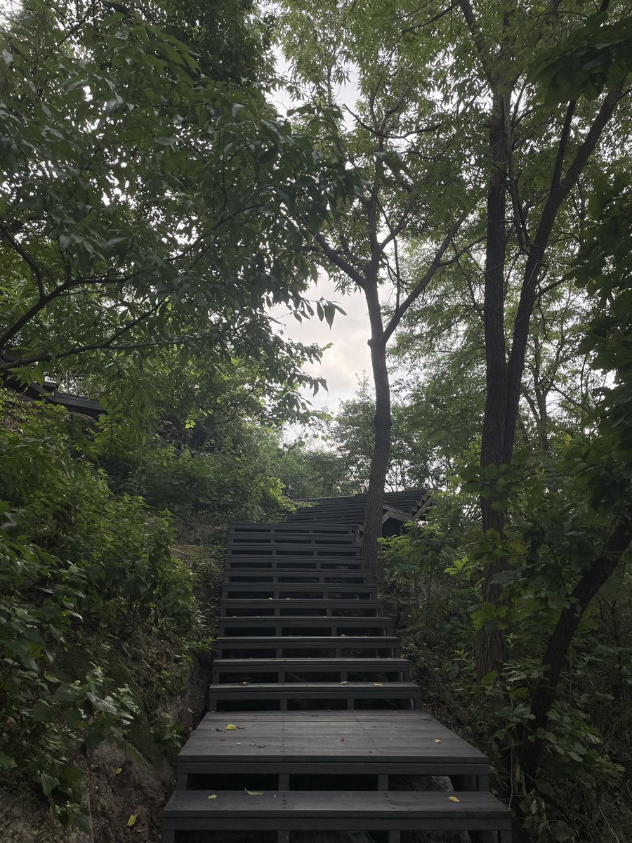 akffl's tweet photo. 인왕산길 자연 그대로의 흙과 바위가 있는 길(데크를 깔기 전)이 아닌 지금 현재 거의 공사가 마무리된 데크가 깔린 길을 더 좋아하는 사람이 있을 수는 있겠지만, 나는 데크를 까는데 세금을 쓰는 것에 절대 반대하는 시민이다. 이전 오솔길이 위험하지 않으면서도 아름다웠기 때문이다.@jongno_arch https://t.co/n1lxsOQOxR
