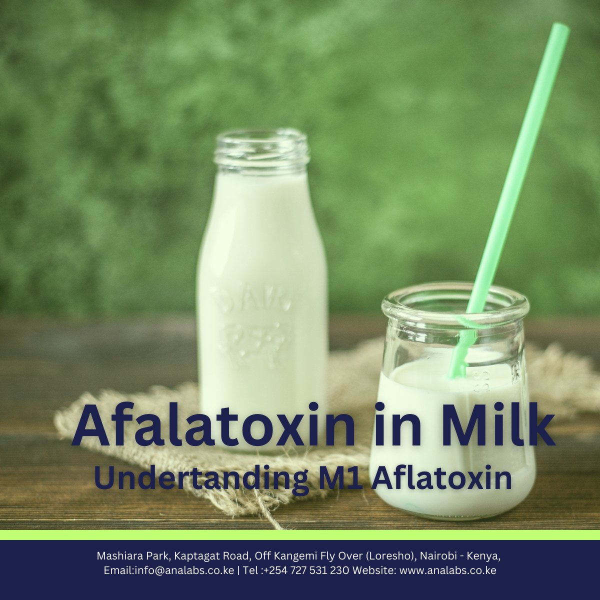 Aflatoxin M1, a harmful mycotoxin in dairy products, poses serious health risks. From feed to final product, rigorous monitoring and control are essential. Let's prioritize safety and innovation to protect public health.  #FoodSafety #PublicHealth #Dairy #Innovation