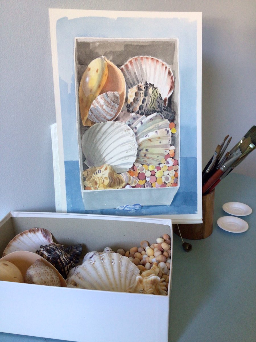 JENNIFE55690269's tweet image. A box of shells.