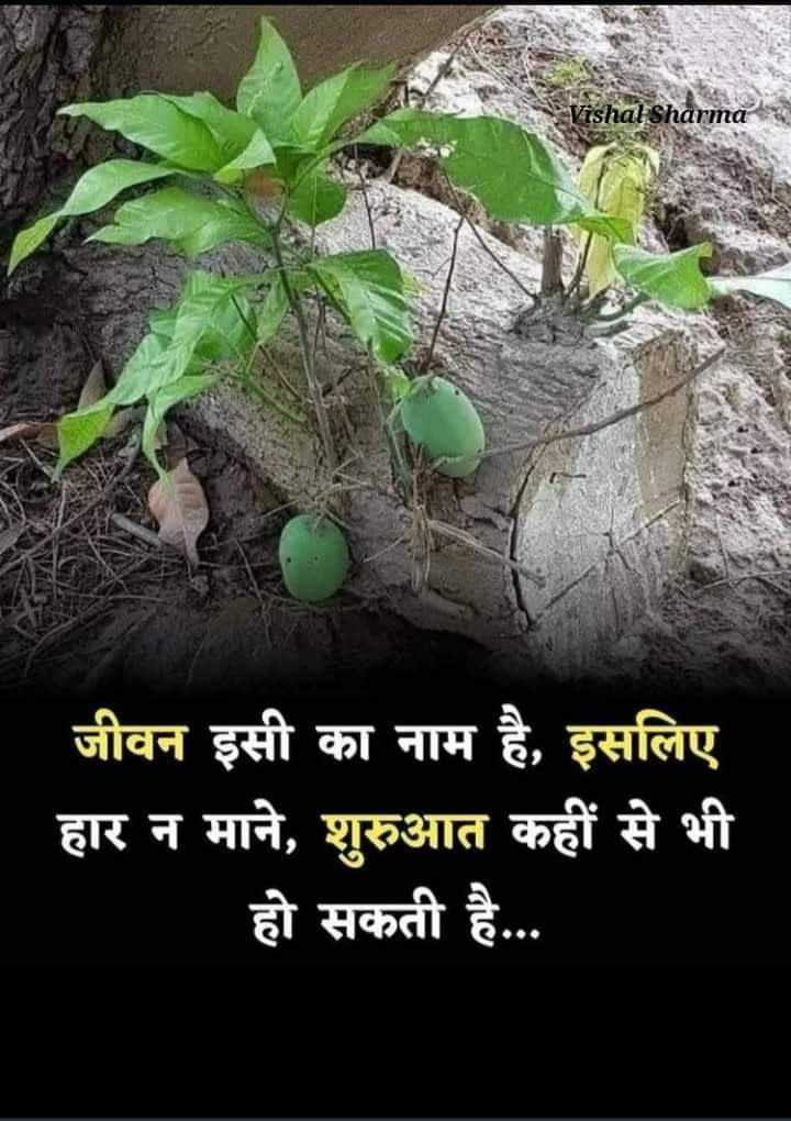 rimpy2037930's tweet image. #LetsStart