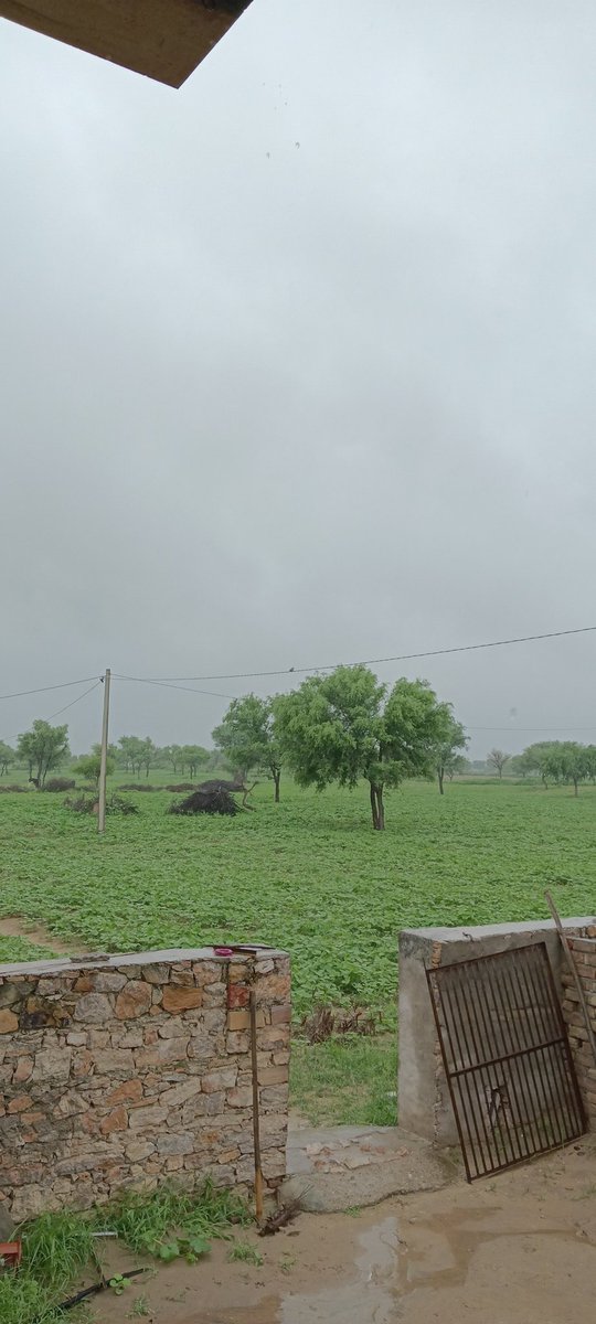 सावन की रिमझिम , सुहाना ठंडा मौसम 
06 अगस्त 2024.