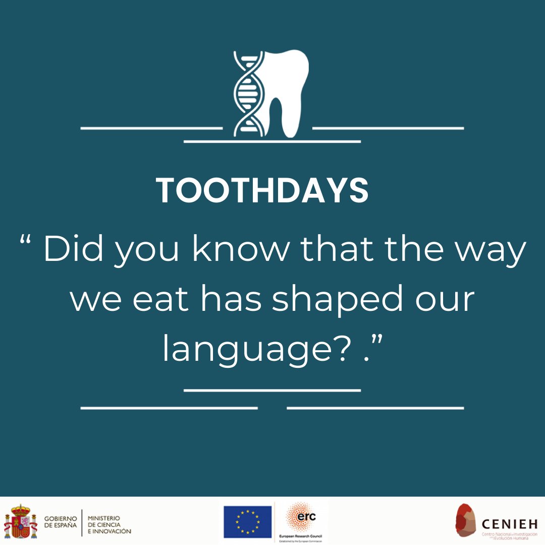 Tied2Teeth's tweet photo. #TOOTHDAYS ! Did you know that the way we eat has shaped our language?
@CENIEH @ERC_Research @FECYT_Ciencia https://t.co/B6T6LiajAJ