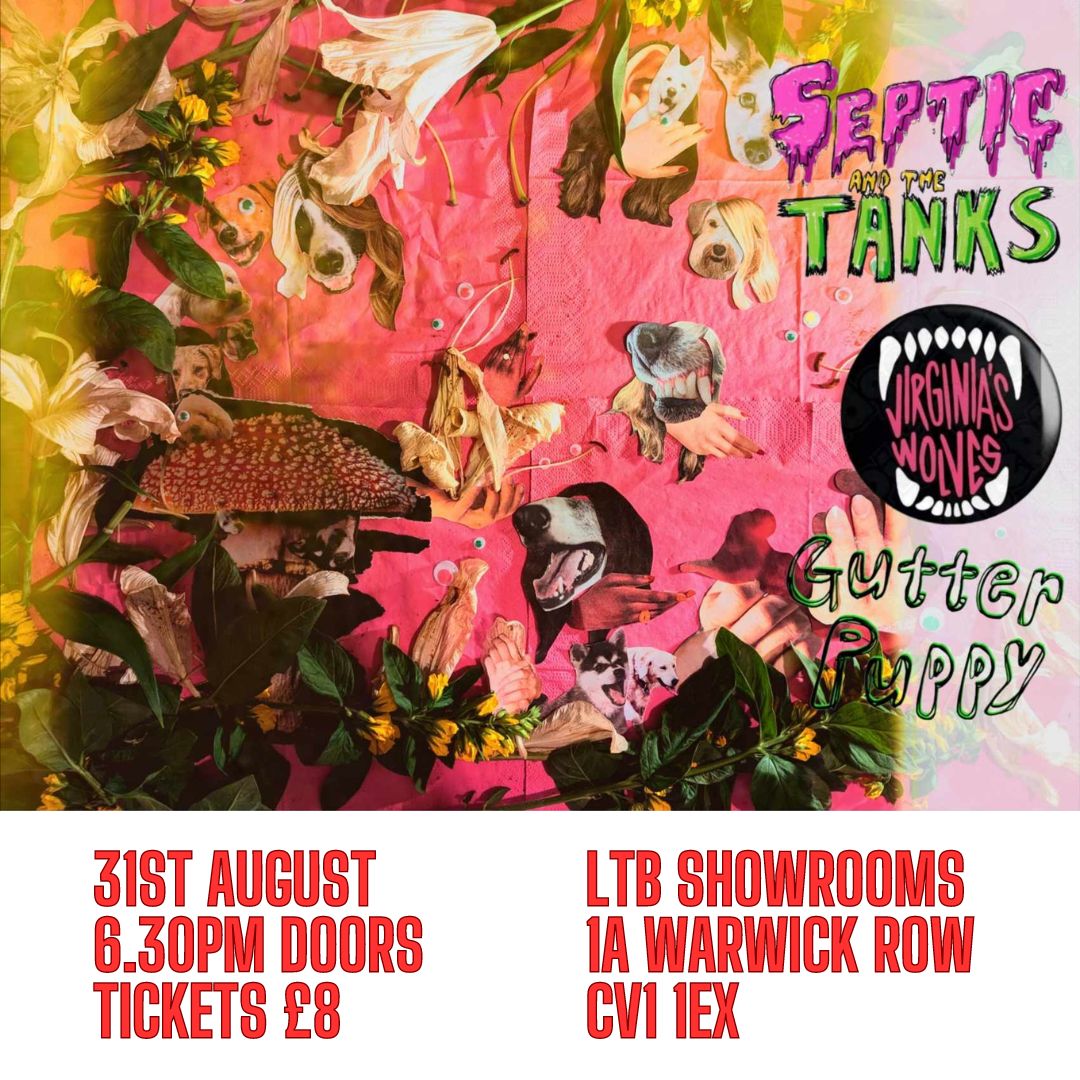 Virginias Wolves (@vwolvesband) on Twitter photo Really excited about this gig and our return to Coventry! We will be performing with the fabulous septic and the tanks and gutter puppy 🔥 Really excited about this gig and our return to Coventry! We will be performing with the fabulous septic and the tanks and gutter puppy 🔥