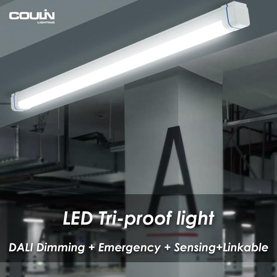 CathyCoulin's tweet image. Discover how our LED Tri-Proof lights not only meet your expectations but exceed them.

📧 Email: info@coulinlighting.com
WeChat: +86-13777193386
🔎 coulinlighting.com 

 #Triprooflight #lightsolutions #lighting #energyefficient #ledtriprooflight #lightfixture #lamp #ledlamp