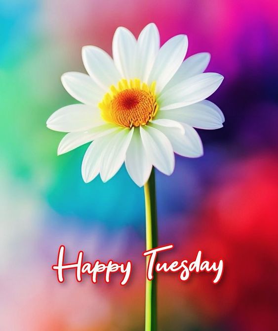 Jeff Moon ๐ค (@maddrummer8) on Twitter photo Happy Tuesday!โค๏ธ Coffee is on!โ๏ธ Cloudy in Ireโ๏ธ
Not going to be on X much until I get this hand injury sorted, have a lovely Dayโค๏ธโ๏ธ๐ถ๐
<a href="/EmmaLachevre8/">Emma Lachevre ๐ฆ</a> <a href="/KateStantonSing/">Kate Stanton</a> <a href="/tizzyL0210/">๐๐๐๐ฃ๐ป๐ช๐ฌ๐ฎ๐๐ธโกยฐโข๐บโขยฐโก๐ธ</a>
<a href="/Tina7265637292/">Tina72</a> <a href="/dougjoh99482989/">Linda Johnson...female looking for great music ...</a> <a href="/glimmergirl/">glimmergirl Michele</a>
@SkinVehicles <a href="/ShotokuTech/">ShotokuTech</a> <a href="/crabb_jim/">Jim Crabb</a> <a href="/husar_milan/">MULAN3-SK๐น MUSIC PHOTO ๐ถ๐ทโค๏ธ</a> Happy Tuesday!โค๏ธ Coffee is on!โ๏ธ Cloudy in Ireโ๏ธ
Not going to be on X much until I get this hand injury sorted, have a lovely Dayโค๏ธโ๏ธ๐ถ๐
<a href="/EmmaLachevre8/">Emma Lachevre ๐ฆ</a> <a href="/KateStantonSing/">Kate Stanton</a> <a href="/tizzyL0210/">๐๐๐๐ฃ๐ป๐ช๐ฌ๐ฎ๐๐ธโกยฐโข๐บโขยฐโก๐ธ</a>
<a href="/Tina7265637292/">Tina72</a> <a href="/dougjoh99482989/">Linda Johnson...female looking for great music ...</a> <a href="/glimmergirl/">glimmergirl Michele</a>
@SkinVehicles <a href="/ShotokuTech/">ShotokuTech</a> <a href="/crabb_jim/">Jim Crabb</a> <a href="/husar_milan/">MULAN3-SK๐น MUSIC PHOTO ๐ถ๐ทโค๏ธ</a>
