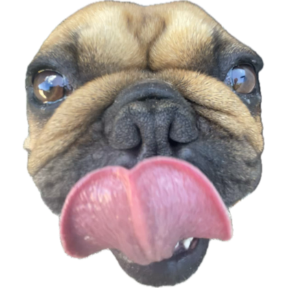 kuba (@sekyxdd) on Twitter photo 