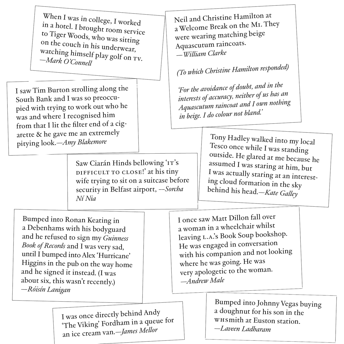 The Fence Magazine tweet media