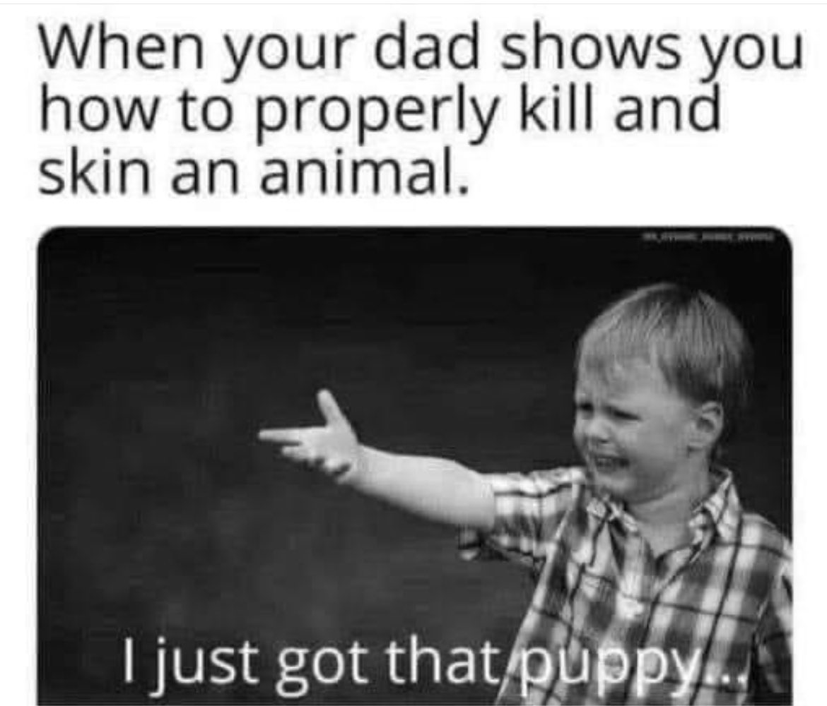 HarryGrowler's tweet image. 