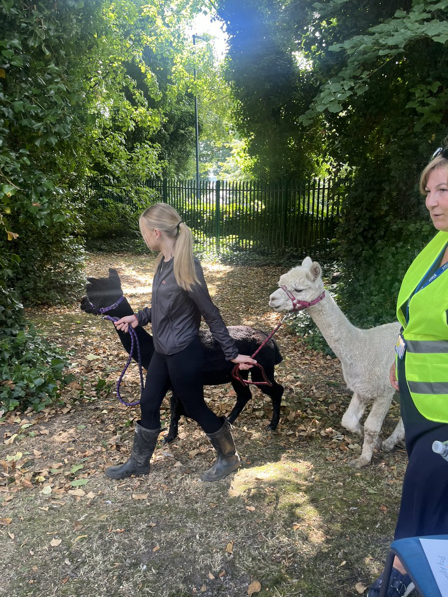 Alpaca-bag and come down to Farcliffe Family Hub to see our Cyber Blue Line vehicle and get some free cyber protect and prevent advice!