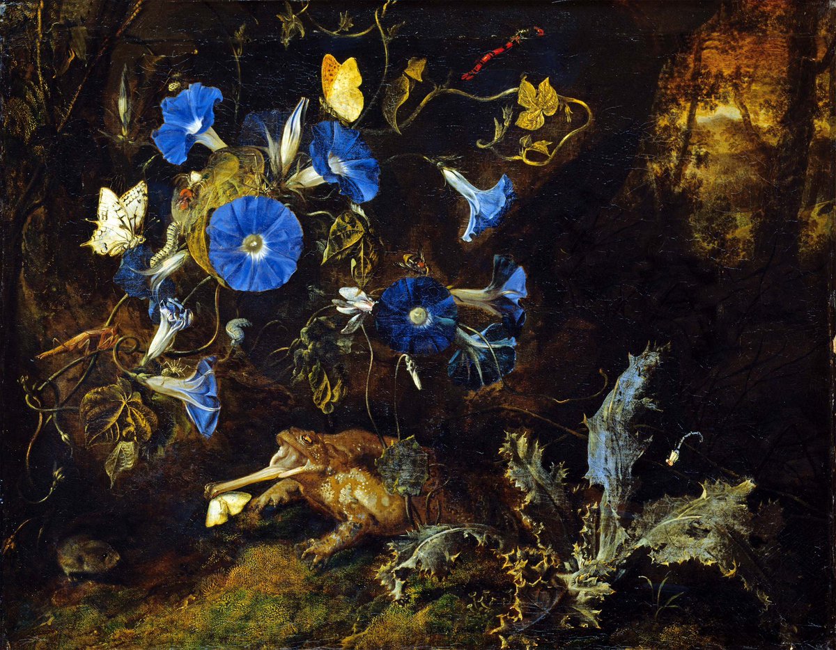 8Dawntreader8's tweet photo. In the mid 1600s Dutch painter Otto Marseus van Schrieck (1613-1678) invented a whole new genre: the forest floor still life, or “sottobosco”. /1
#Art #DutchGoldenAge #Sottobosco https://t.co/sBFrX2EgHk