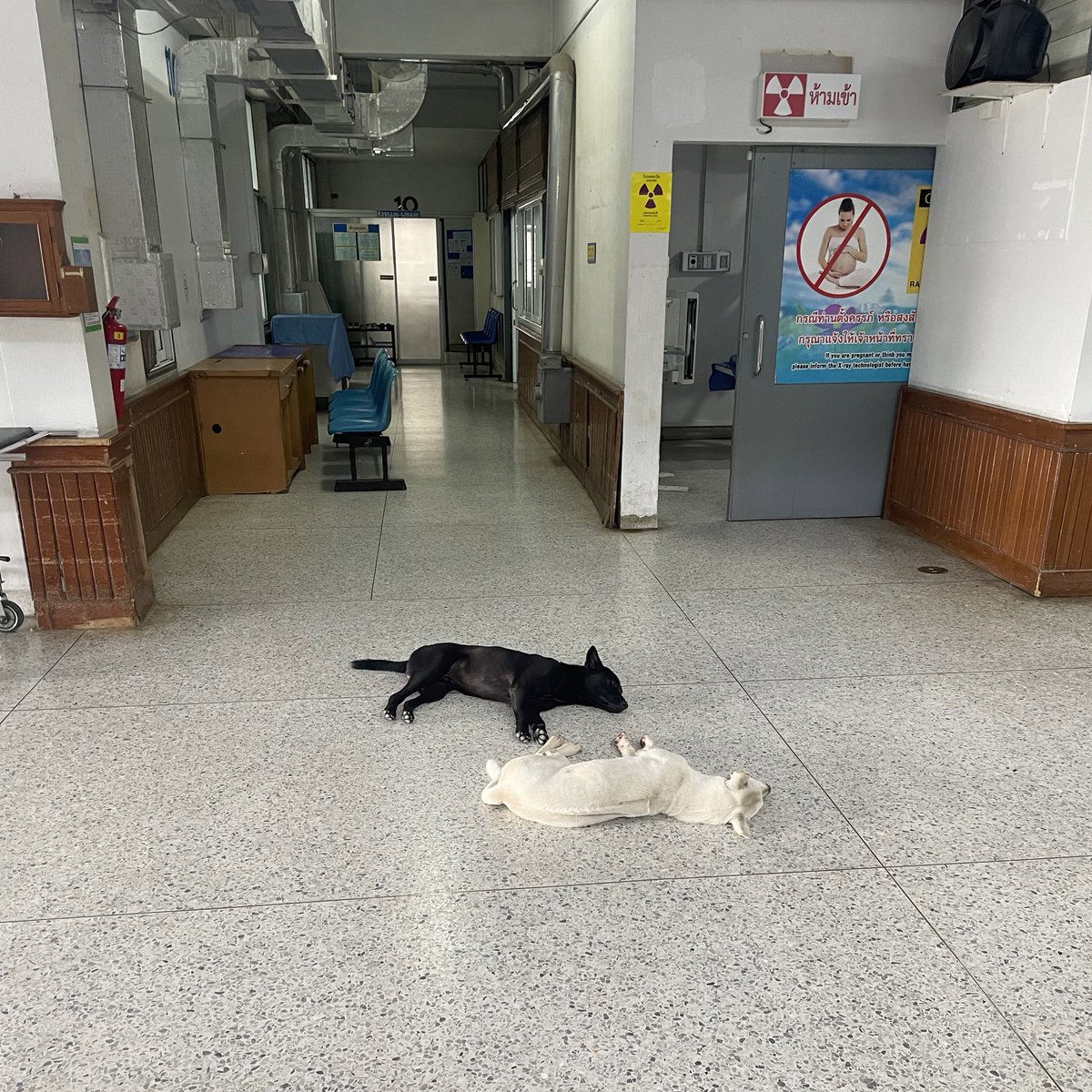 ไอดอลของ หมอเวร รพช ทุกที่ในประเทศไทย