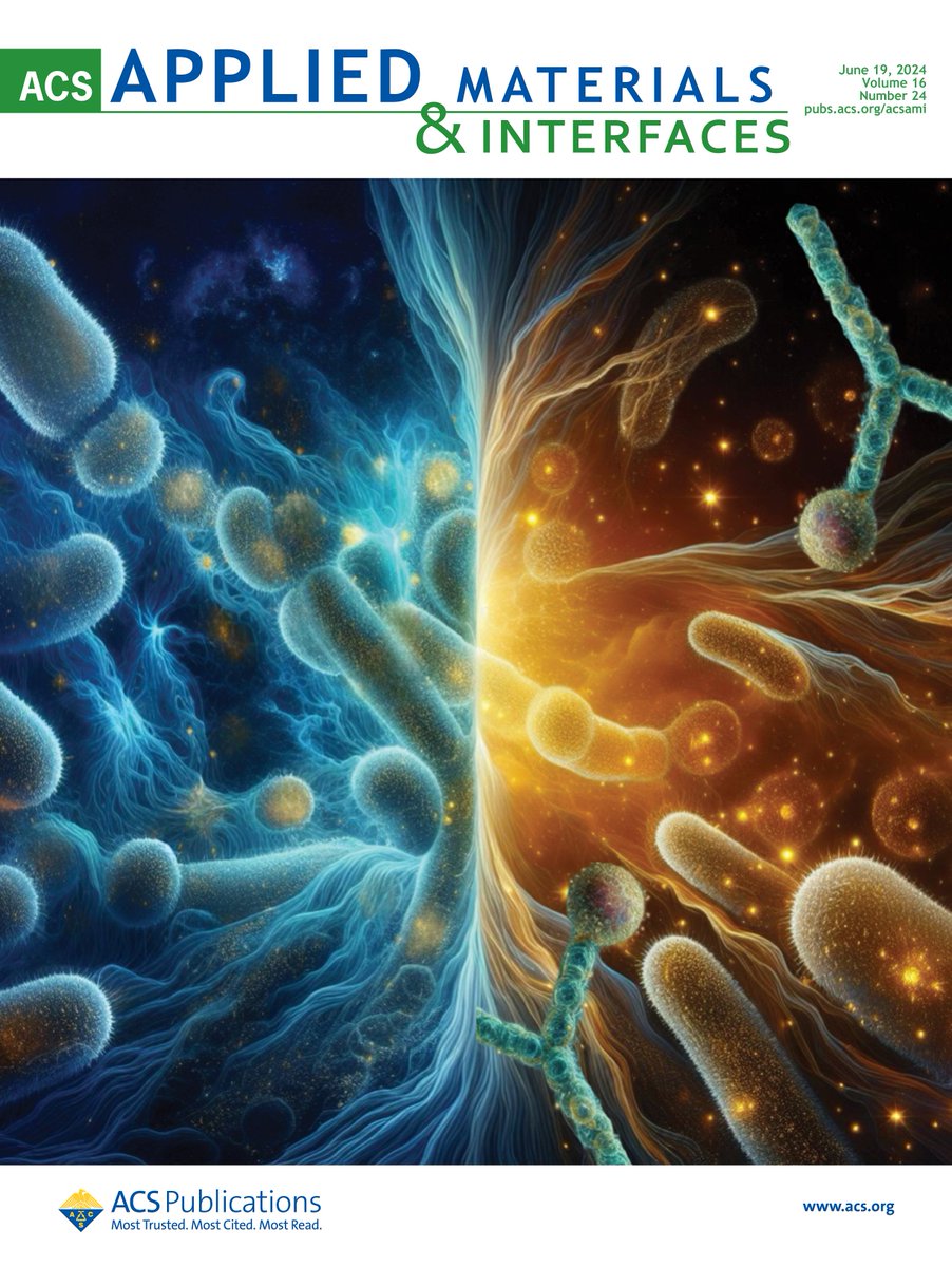 Thrilled to announce that our collaborative research on a novel enzyme-free ELISA-like assay has been selected for the cover of <a href="/ACS_AMI/">ACS Applied Materials & Interfaces</a>  <a href="/AmerChemSociety/">American Chemical Society</a>! 

This is a fantastic achievement for the entire team at the <a href="/merkoci_group/">Merkoçi Group</a> <a href="/unitorvergata/">Università di Roma Tor Vergata</a>: