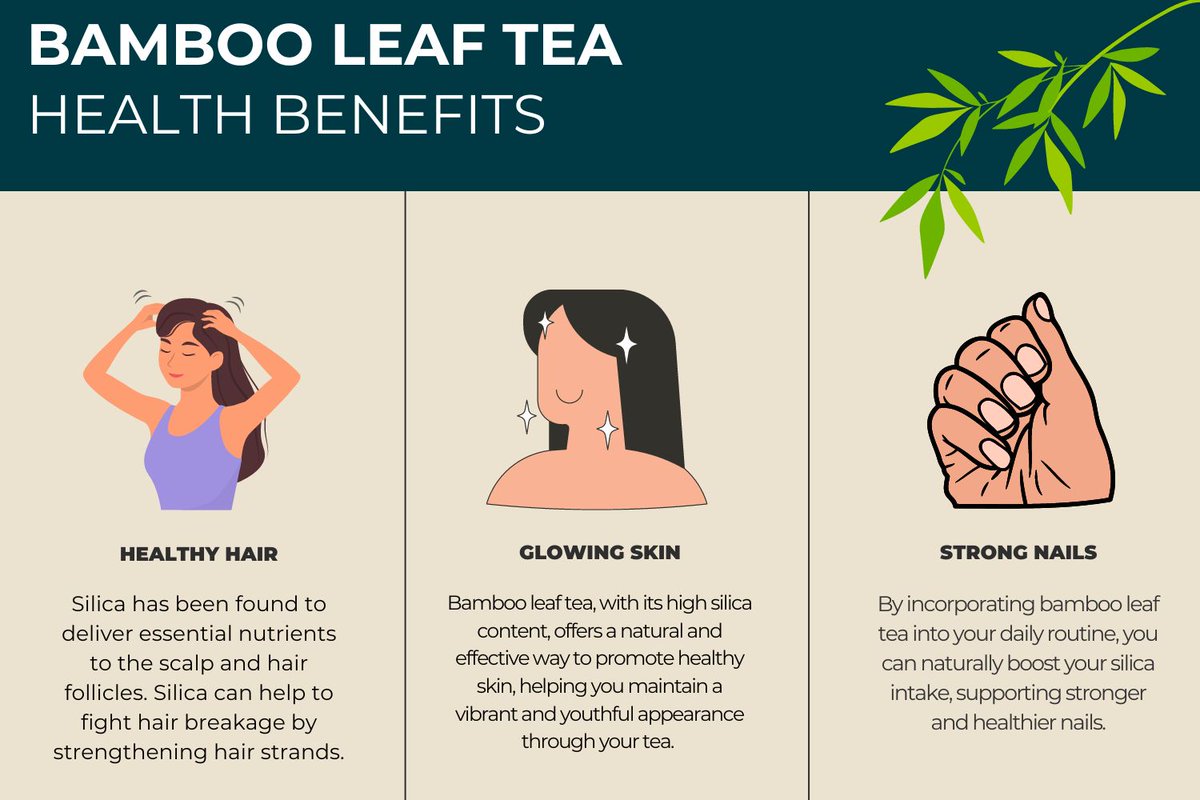 TeaProUK's tweet image. Enhance your hair, skin and nails with bamboo leaf tea!🌿

Packed with silica, this tea is a powerhouse for enhancing natural beauty.
Learn more about bamboo leaf tea benefits in our blog:teapro.co.uk/bamboo-leaf-te…

#teapro #teahealth #bambooleaftea #universitea