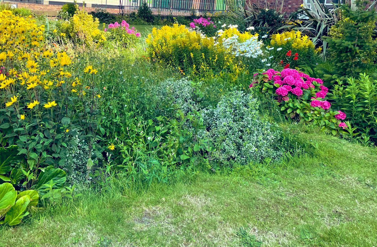 underthestones's tweet photo. Although most of the grave markers were removed, the burial ground is awash with colour at this time of year. These gorgeous plants are growing above some of the public burial pits in the churchyard. https://t.co/nvkRF09RT4