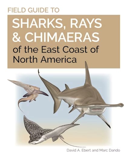 ICBJournal@sicb.org tweet media