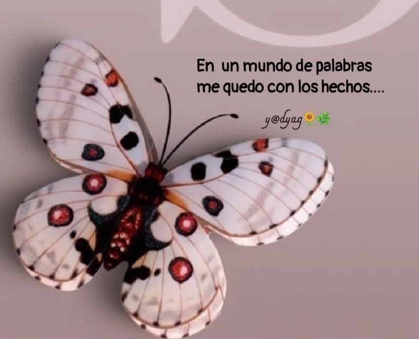 juseche tweet media