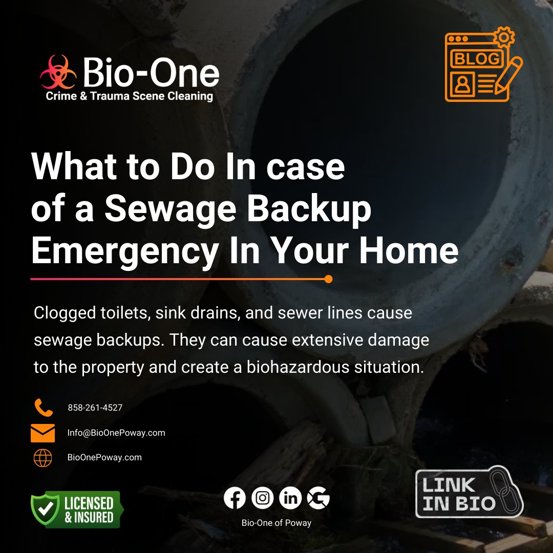 BioOnePoway's tweet image. When sewage backs up into homes or businesses, it can cause extensive damage and create a biohazardous situation that can pose a serious health risk to humans and animals.

📰 Visit our blog: bioonepoway.com/what-to-do-in-…

📧 Info@BioOnePoway.com
📞 858-261-4527

#bioone #bioonepoway