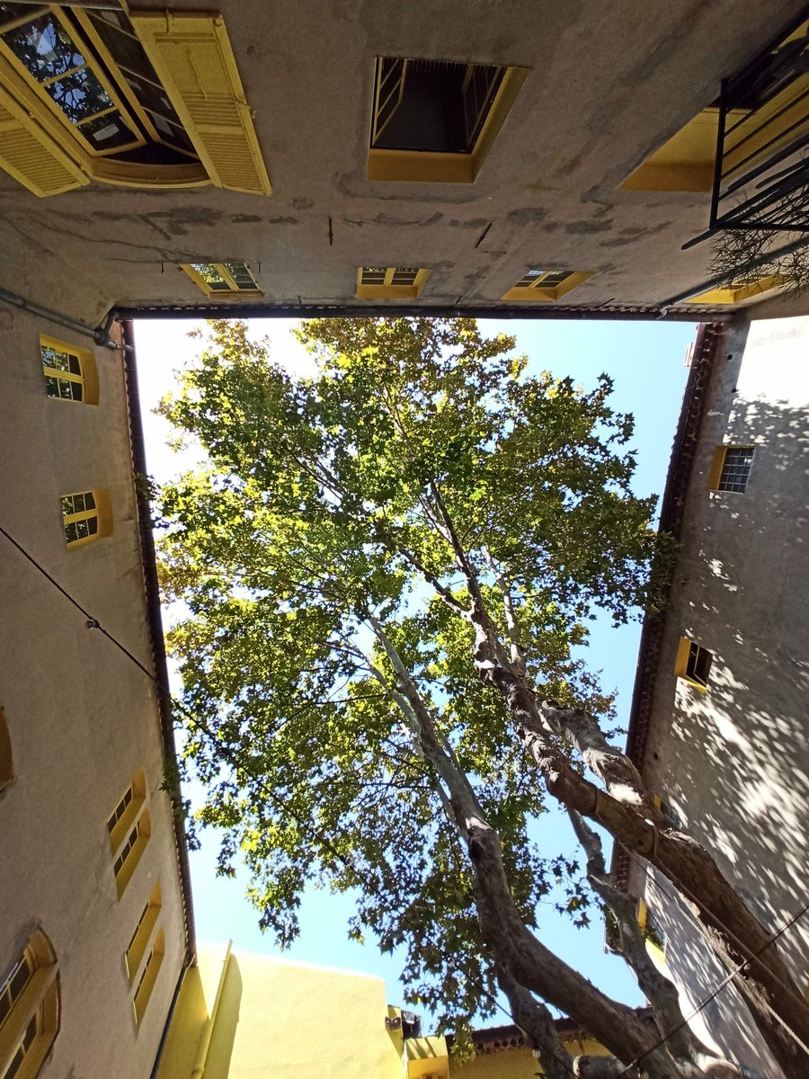 DPastis's tweet image. Ancien évêché #designparade #Toulon