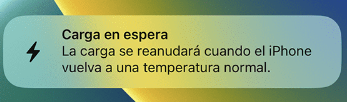 joh_nyc's tweet photo. verano https://t.co/YtIGr2iFQx
