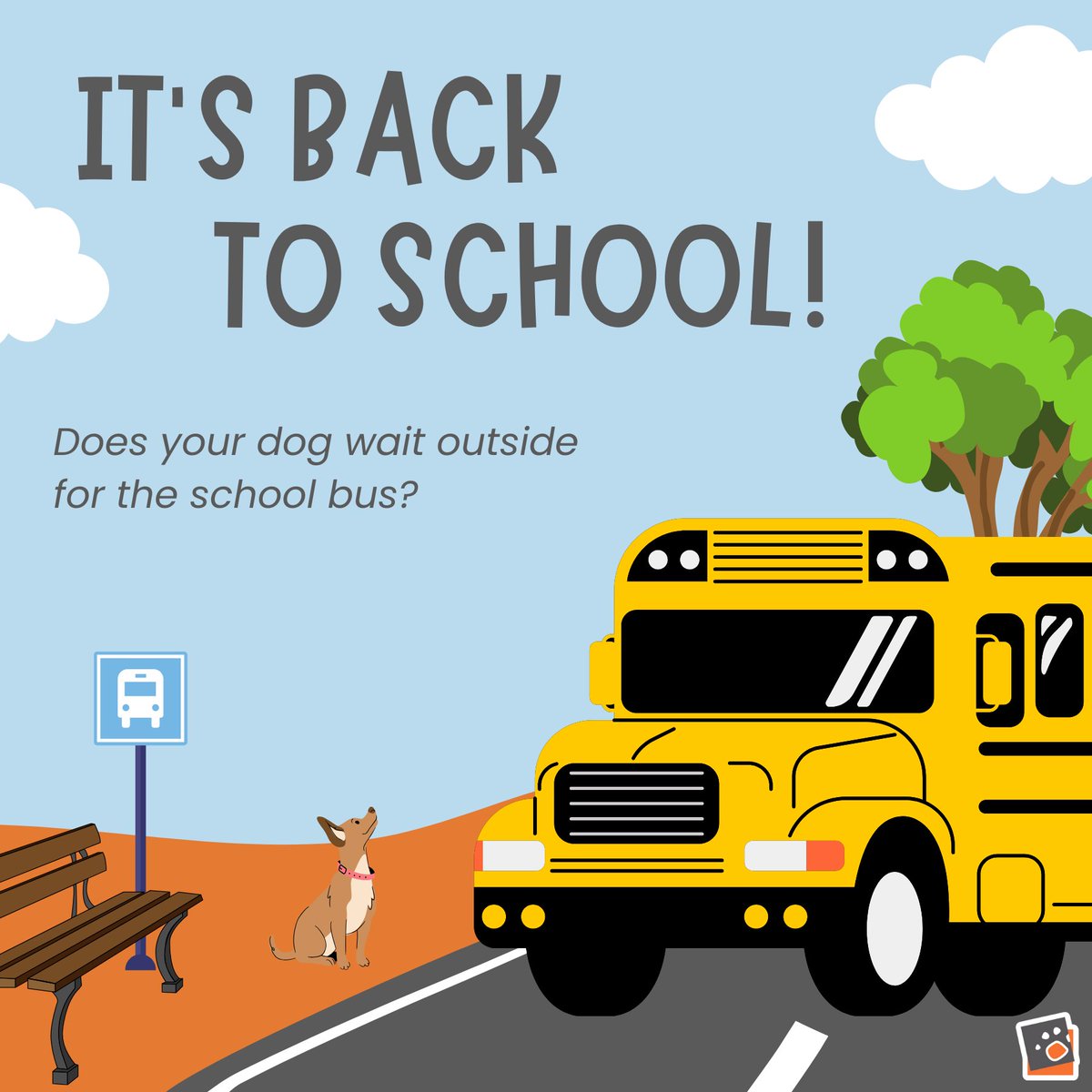 🚌🐾 Is your dog on bus duty? Share a picture with us! 📚✨