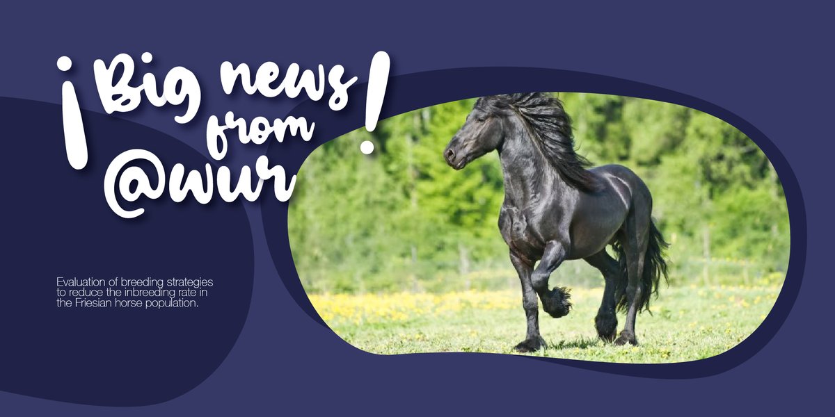 ERFPAnGR's tweet photo. 🐎🔬 Exciting update from WUR! Researchers found that stratified mating quotas based on kinship levels can reduce inbreeding in Friesian horses, boosting genetic diversity and welfare. 🌱🐴
Learn more: https://t.co/DBonSCzrK1
#ERFP #FriesianHorses https://t.co/XvAV85kG30