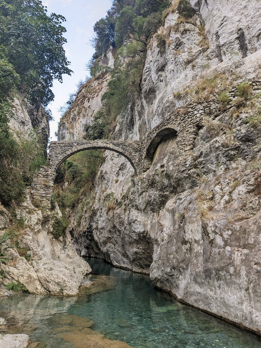 Nikki Rees tweet media