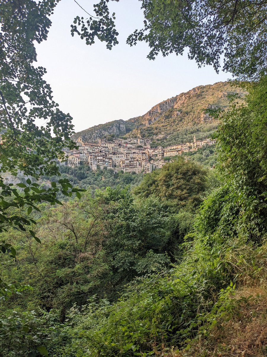 Nikki Rees tweet media