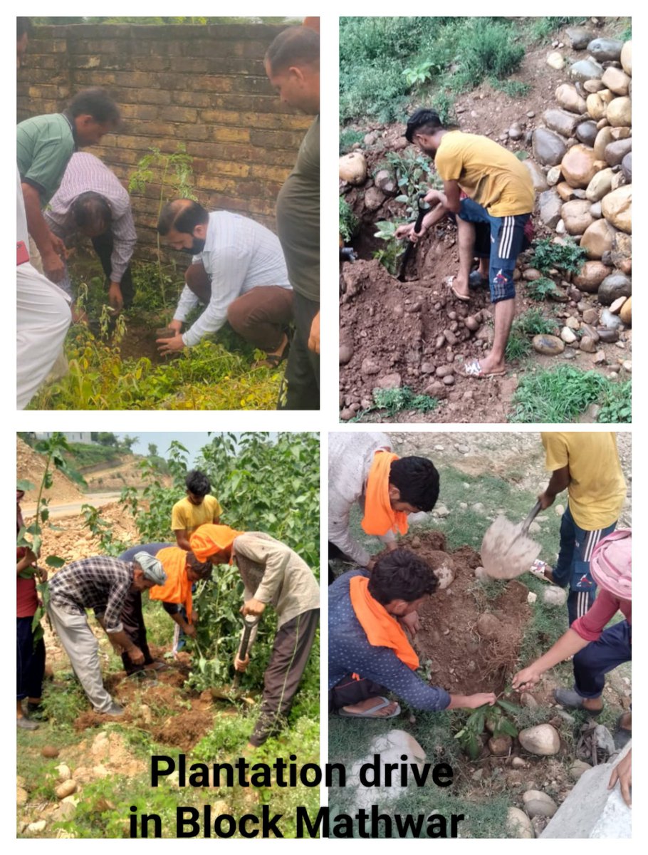 mathwarblock's tweet photo. Plantation drive at various locations in Block Mathwar https://t.co/hwLgtGmX0u