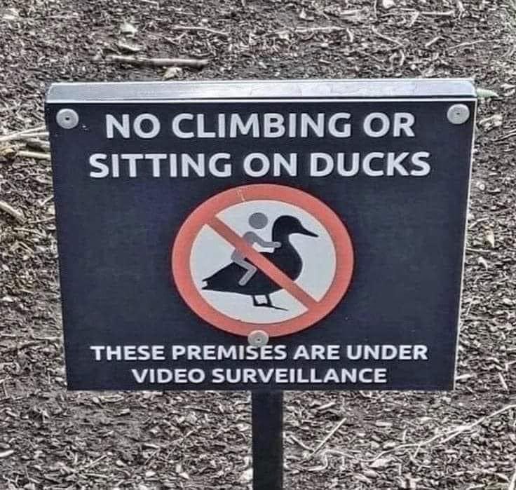Funny Signs & Clips (@funny_signs_) on Twitter photo 
