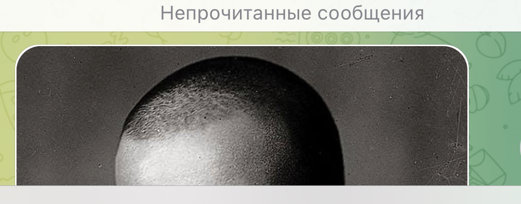 ptichkatari's tweet photo. Забавно, я увидела бритую макушку в канале и сразу поняла, кто это, а вы? https://t.co/6zeibuqcbZ