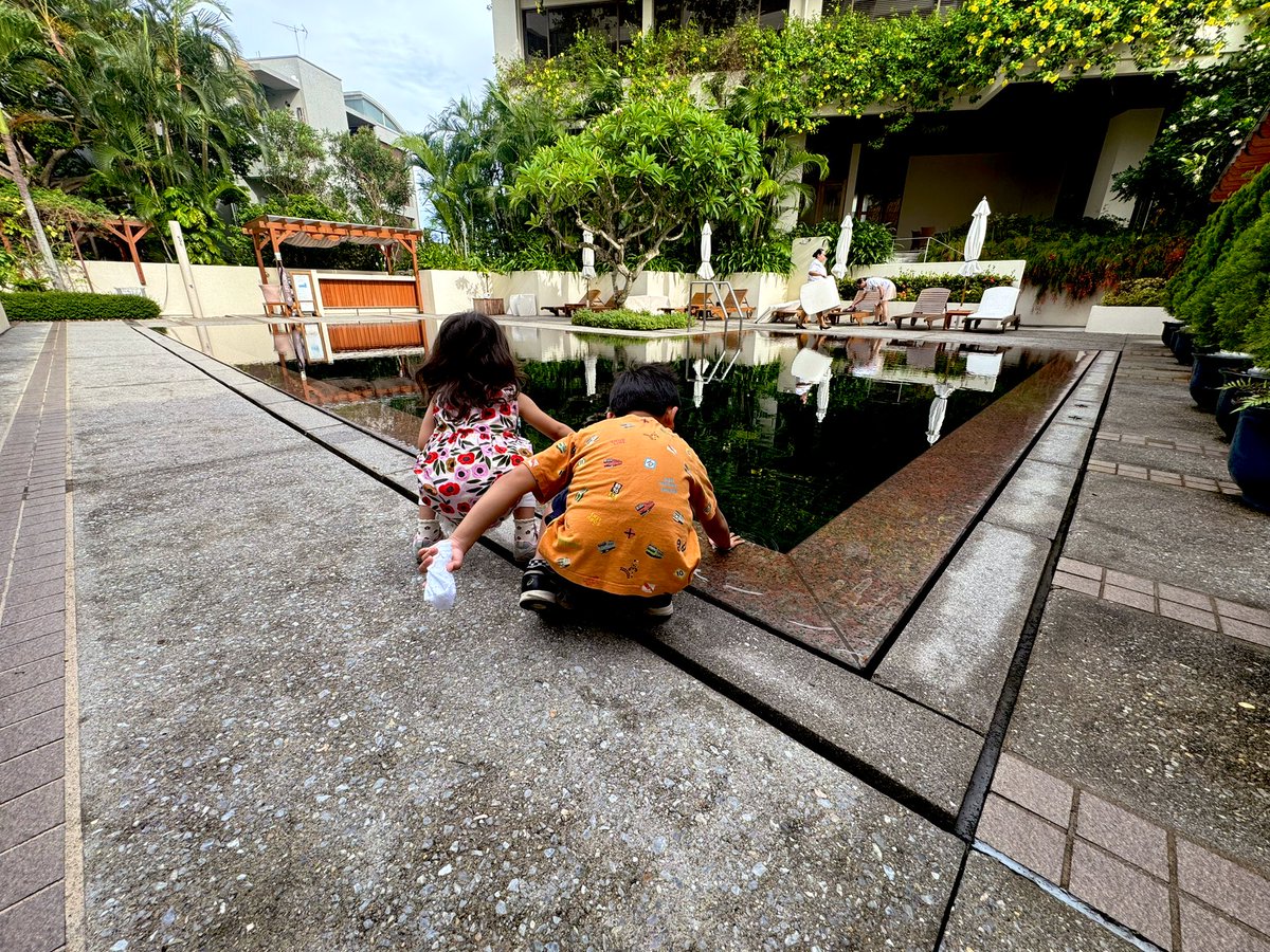 suwork's tweet photo. 沖縄おしまい。今回は先に奥さんと子供に行ってもらって後から合流するパターン。子供は歳の近い親戚に会い、プール、海で遊んで満足した模様。親はつかれた……。 https://t.co/SgdIKwcqEj