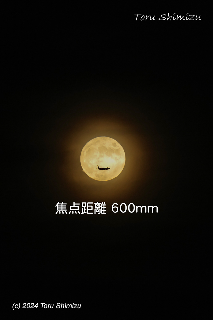 shimizuphotos's tweet photo. 飛行機+月を撮る!
ワークショップ開催
#ワークショップ
#写真教室
#撮影会
#飛行機
#航空機
#旅客機
#空港
#月
#満月
#Workshop
#Photography_class
#Photo_shoot
#Airplane
#Aircraft
#Passenger_plane
#Airport
#FullMoon
#ファインダー越しの私の世界
#写真で奏でる私の世界
#フォトジェニック https://t.co/CTrq8jWuWN